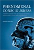 Platchias. Phenomenal Consciousness: Understanding the Relation between Experience and Neural Processes in the Brain