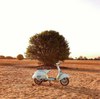 Маленькая голубая Vespa)
