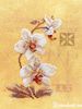 Three orchids 34746 Lanarte