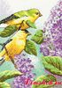 Goldfinch and Lilacs 65153 Dimensions