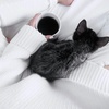 Белый вязаный свитер и такую фоточку с котом)