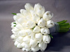 любые белые цветы