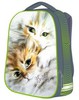 Рюкзак Hatber ERGONOMIC-Beauty cats-