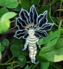 Mandrake lapel pin