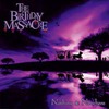 The Birthday Massacre "Nothing and nowhere"
