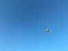 Полететь на воздушном шаре