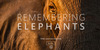 Фото-книга Remembering Elephants