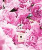 Jo Malone Peony & Blush Suede