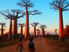 Увидеть аллею баобабов на Мадагаскаре