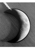 Curiology | Crescent Moon Necklace