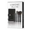 LIMONI Professional Набор кистей "TRAVEL KIT" или другие профессиональные с мягким натуральным ворсом