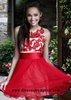 Party Red Lace Floral Embroidered Ruffled Tulle Dress
