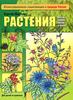 Книга о растениях России