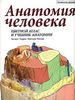 Анатомия человека. Цветной атлас и учебник анатомии