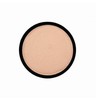 HIGHTLIGHT & CONTOUR PRO SINGLES - NECTAR