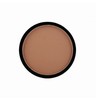 HIGHTLIGHT & CONTOUR PRO SINGLES - TAN