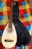 S1250 Travel Guitar