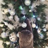 white garland
