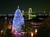 Встретить Новый Год в Токио!