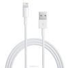 Apple Lightning to USB Cable