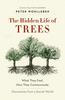Книга "The Hidden Life of Trees"