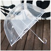 зонтик прозрачный