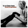 The Last Shadow Puppets The Age Of The Understatement [Vinyl LP]