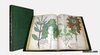 Codex Sloane
