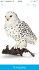 Schleich Фигурка Полярная сова