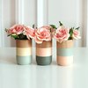 Вазы Sonia Jacks (Shade on Shop)