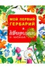 Мой первый гербарий. Цветы и листья