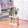 Test Tube Shape Glass Planter with Wooden Rack