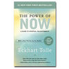 the power of now