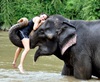 Обнять слона