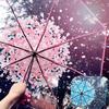 Зонт с сакурой