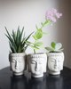 Buddha Plant Pots