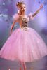 Barbie The Sugar Plum Fairy in “The Nutcracker”