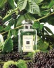 Jo Malone Blackberry & Bay