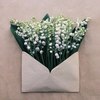 lilies of the valley