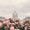купить билеты