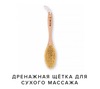 Дренажная щетка для сухого массажа RICHE cosmetics