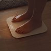 Xiaomi Mi Smart Scale 2