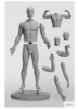 3d total male figure adaptive