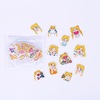 Sailor moon stickers