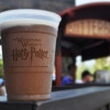the Wizarding Wоrld of Harry Potter