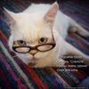 Glasses for cat | Очки для кота