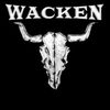 Поехать на Wacken