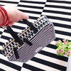 Create 365 Planner Storage Case -Striped