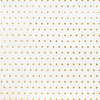 American Craft Gold dot Vellum Paper