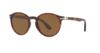 Persol Sun Glasses